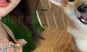 当roroki骷髅姬遇见奶牛：这波美图有点意思