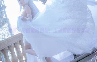 狐萝卜呦的危险图册：玉藻前的野性美丽